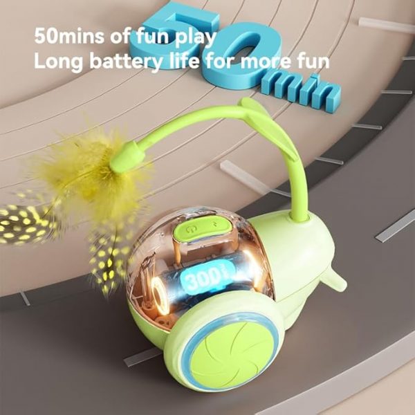 Cat Toys