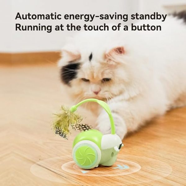 Cat Toys