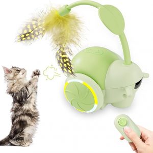 Cat Toys