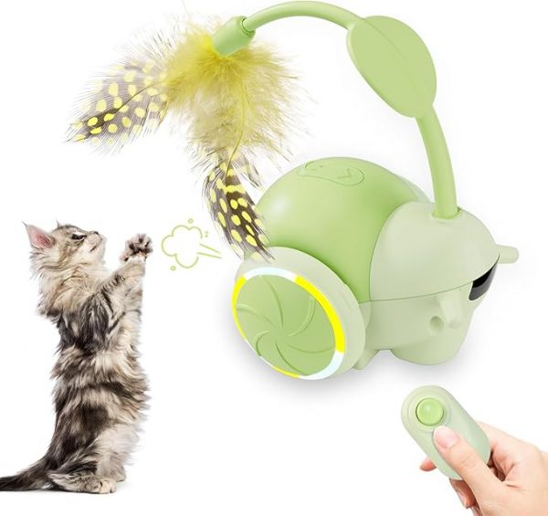 Cat Toys