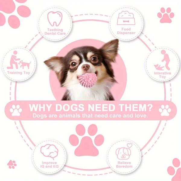 Puppy Teething Toy Set