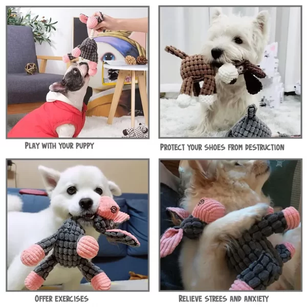 Pet plush toys