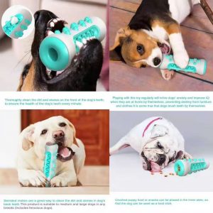 Upgraded Pet Dog Toothbrush Toy: Durable Dog Bone Chew Stick for Teething & Interactive Chewing