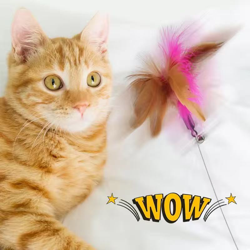 Cat's "Head-Mounted Carnival" Is Here! Automatic Feather Teaser Collar – Wear Happiness On The Head! - Image 3